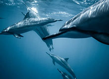 九游网-阿什拉夫在街头与小朋友踢球，还给他们签名